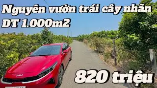 #107 Bán đất vườn trái cây xã Hoà Hội Xuyên Mộc BRVT 1.000 | Khu vực có điện 3 pha | Gần TL 329