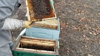 Позднее объединение двух слабачков