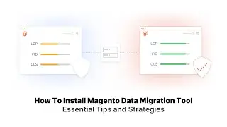 7 Common Issues with Installing Magento 2 Data Migration Tool - How to Fix Them
