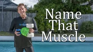 Name That Muscle - Water Fitness Education