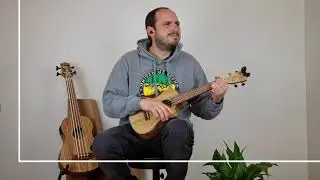 Persian UKTC-Zebra Tenor Ukulele with Cutaway - Greenchords
