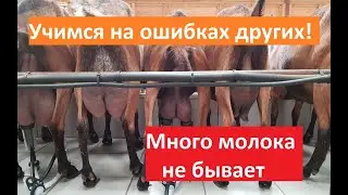 Козы в Европе / Пора прощаться