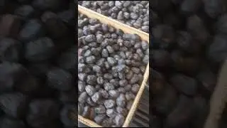Spereme Quality AJWA Dates  #ajwakhajoor #ajwadates