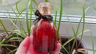 Распаковка заказа Mary  Kay