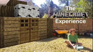 The MINECRAFT Experience