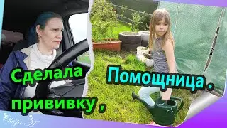 Влог/ На даче у родителей/ Зла не хватает/ Нет доверия к врачам.