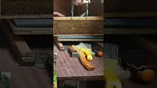 рамкадержатель для пчел пчеловодство для начинающих