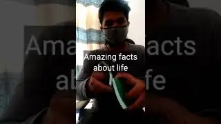 Amazing facts about life ( part 2 ) #short #reels #viral #trending #tiktok #facts