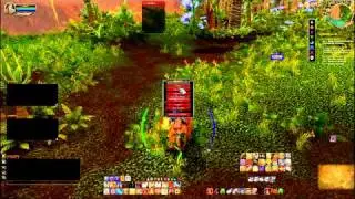 Lenovo Y570 Nvidia GT 555M running World of Warcaft