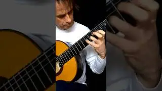 Flight Of The Bumblebee (Classical Guitar) #bumblebee