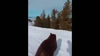 😂