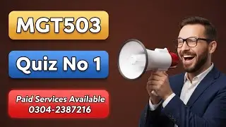MGT503 Quiz 1 Spring 2024 || Mgt503 Quiz Lecture(02-08) || Mgt503 Quiz 100% Correct