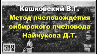 #Kashkovsky