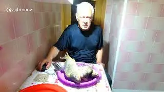 Carp and crucian carp. We catch and cook our own fish