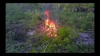 О триммерах и их замене (по опыту проекта Заря)