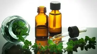 THE CURES FOR ALL DISEASES