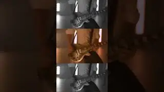 Have you seen this video?