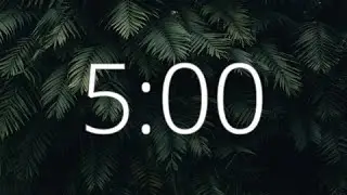 5 minute timer