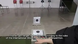 Air gun target