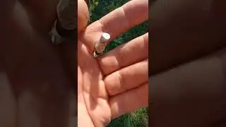 Яр, на сьогодні, весна.