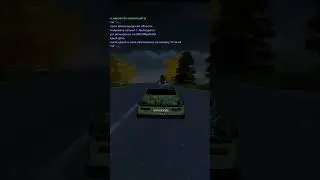 Я играю на RADMIR CRMP 15 Server. 