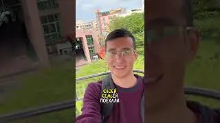 Как я свозил свою семью в Китай благодаря ТикТоку