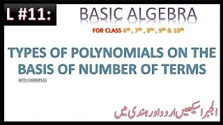 Types of polynomials on the basis of number of terms