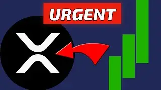 2024 Will Be the Biggest Year XRP Ripple!