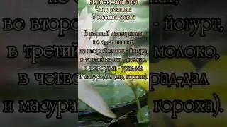 4 месяца аскез: как просто поститься и получить вечный результат.
