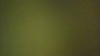 Pet Simulator