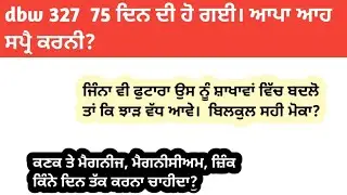 dbw 327   75 ਦਿਨ ਦੀ ਹੋ ਗਈ। ਆਹ ਸਪ੍ਰੈ ਕਰਨ ਜਾਂ ਰਹੇ?