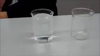 Making a Penny Disappear    Show Me The Physics