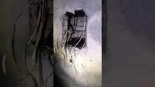 ЗКП Связи. Пуховичи