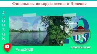 Финальные аккорды весны в Донецке