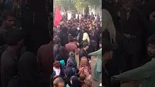 Azadari at sehwan qalandar lal shahbaz ❤️ #foryou #viral #love #comedy