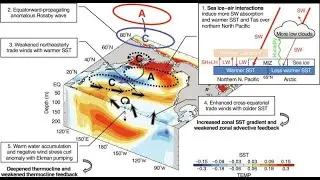 Arctic Sea Ice Loss Leads to Stronger El Ninos