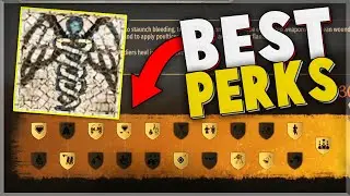 BEST MEDICINE PERK PICKS in Bannerlord ! (FULL GUIDE)