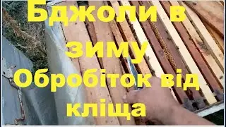 Обробіток бджіл біпіном в зіму. Як розбавляти біпін для застосування.