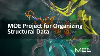 🆕 MOE Project for Organizing Structural Data