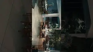 Vou eternizar o seu sonho em forma de foto e vídeo me chama