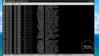 Windows XP Logon Screen does not appear and the computer continuously restarts