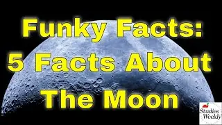 Studies Weekly Funky Facts: 5 Facts about The Moon