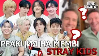 Stray Kids React to Memes About Themselves