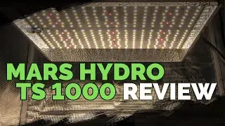 Mars Hydro TS 1000: A Surprisingly Good Grow Light For The $