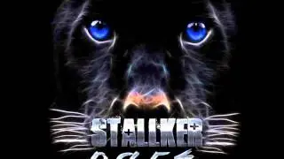 Stalker - PARS (Stalking)