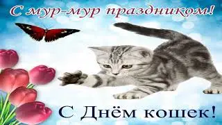 День Кошек. Всемирный День Кошек. 8 августа Праздник Кошек. Видео Поздравление!