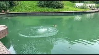 царьГрад нырныла и вынырнула