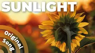 Raymusique - Sunlight (Official Lyric Video)