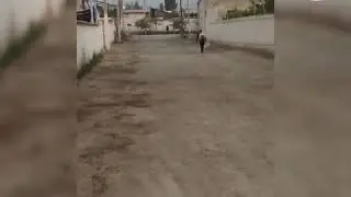 Чумьача бозор дар вакти карантин 15 05 20 20