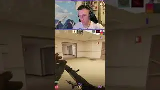 поиграл с девчонками в CS2 на OFFICE #dav1denkoff